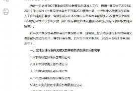 芒康芒康的要账公司在催收过程中的策略和技巧有哪些？